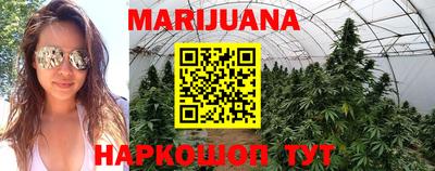 прущие крисы Коммунар